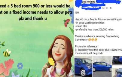 Split-screen image: Left side has an illustration of a smiling woman holding flowers, with text requesting a 5-bedroom home for $900 or less that allows pets. Right side shows a social media post requesting a hybrid car under 200,000 miles, with photos of a blue Toyota Prius.