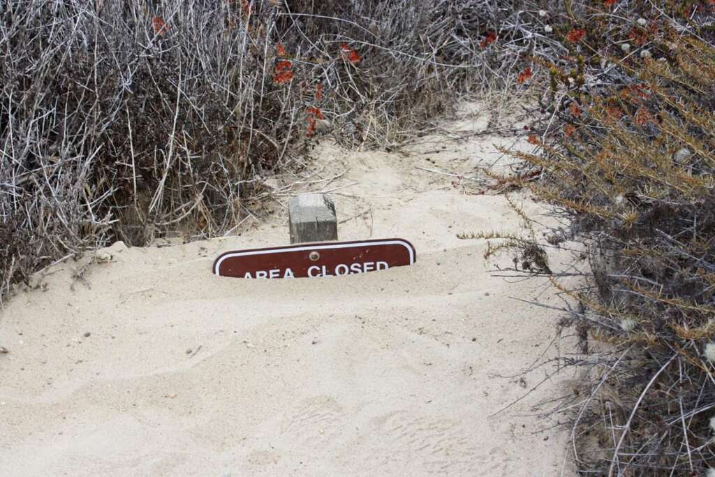 A wooden "Area Closed" sign is partially buried in sand, surrounded by dry shrubbery. The sign is barely visible, indicating a restricted or off-limits area, possibly due to environmental protection or safety concerns.