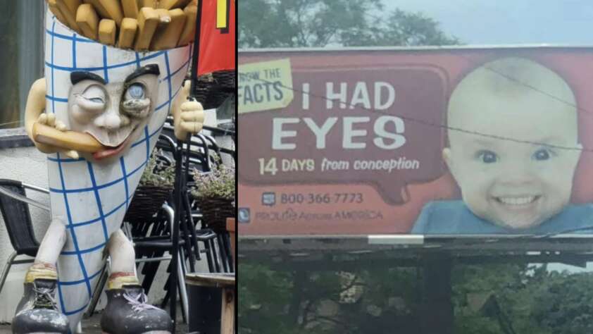 The image is divided into two parts. The left shows a quirky statue of a cone filled with fries, featuring eyes, a nose, and a mouth holding a fry. The right side displays a billboard with a baby’s face and text: "I HAD EYES 14 DAYS from conception." Below is contact information.