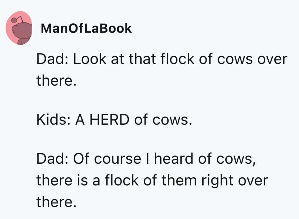 A screenshot of a humorous text exchange. 

Dad: Look at that flock of cows over there.
Kids: A HERD of cows.
Dad: Of course I heard of cows, there is a flock of them right over there.

The Twitter username at the top is "ManOfLaBook.