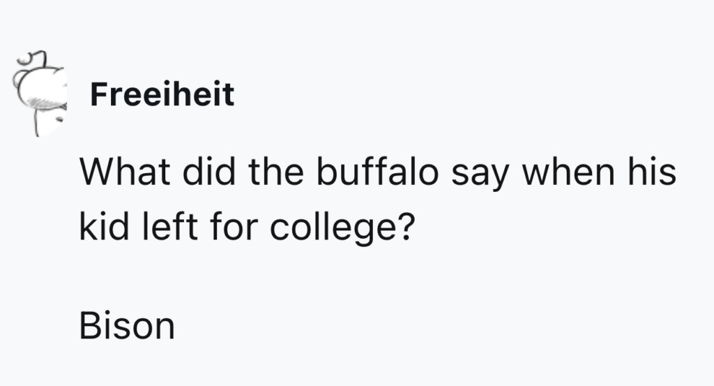 A white background with a vertically oriented text meme. It shows the name "Freeieheit" followed by the joke question: "What did the buffalo say when his kid left for college?" and the punchline: "Bison". An illustration of a buffalo head is situated next to the name.