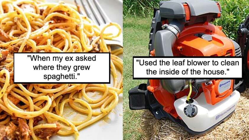 On the left, there is a plate of spaghetti with a caption overlaid: "When my ex asked where they grew spaghetti." On the right, there is an orange leaf blower with a caption overlaid: "Used the leaf blower to clean the inside of the house.