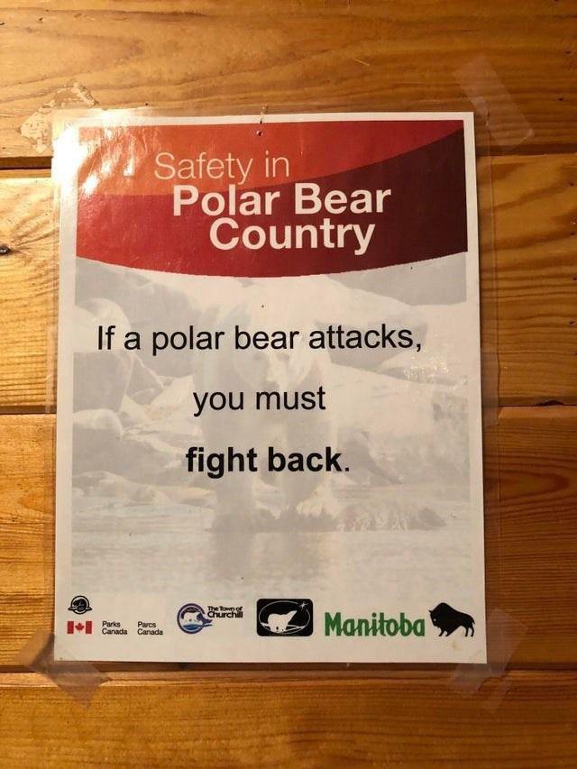 A sign on a wooden wall with the title "Safety in Polar Bear Country." It reads: "If a polar bear attacks, you must fight back." The sign includes logos of Parks Canada, Manitoba, and other organizations at the bottom.