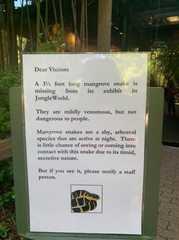 A sign in a zoo reads: "Dear Visitors, A 3½ foot long mangrove snake is missing from its exhibit in JungleWorld. They are mildly venomous, but not dangerous to people. Mangrove snakes are shy, arboreal, and active at night. Notify a staff person if seen.