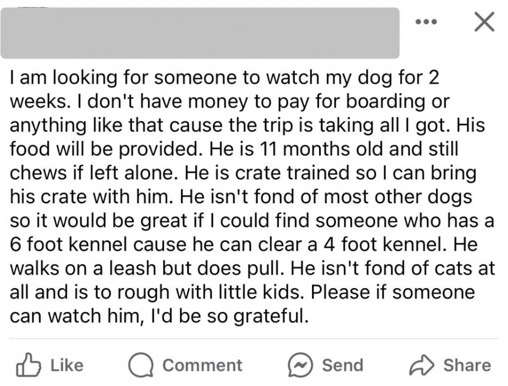 Screenshot of a social media post seeking someone to watch a dog. The dog is 11 months old, crate trained, and can clear a 4-foot kennel. The owner can't pay due to trip expenses and needs care for 2 weeks. The dog isn't fond of cats or young children.