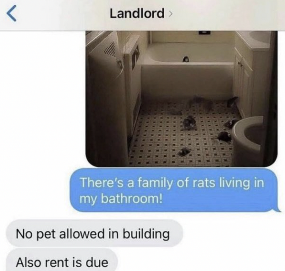 A screenshot of a text conversation. The tenant sends a photo of a bathroom with multiple rats on the floor, saying, "There's a family of rats living in my bathroom!" The landlord replies, "No pet allowed in building. Also rent is due.