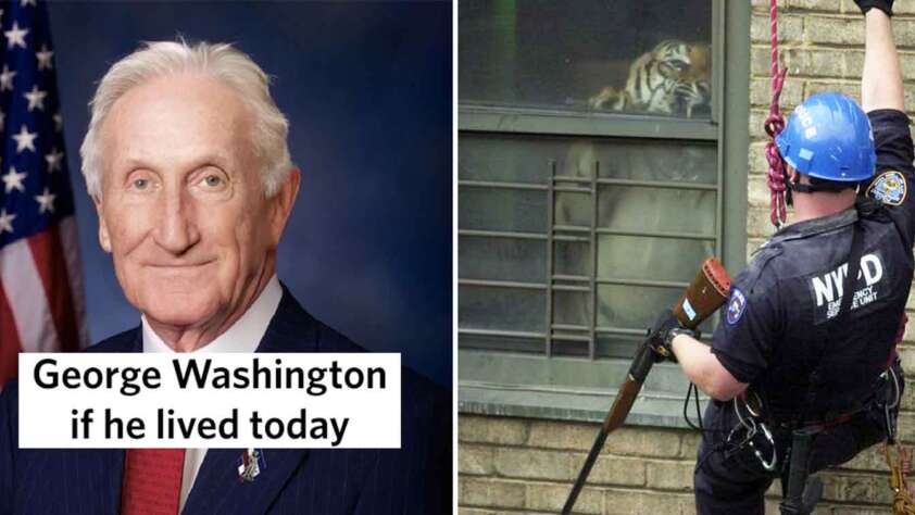 Split image with left side showing an older man in a suit with white hair, labeled "George Washington if he lived today", and right side showing a police officer in safety gear climbing a building, with a large cat (possibly a tiger) looking out the window.