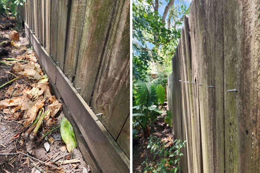 Two side-by-side images of a wooden fence repair. The left image shows several screws along the bottom of the fence, with leaves and dirt on the ground. The right image shows a closer view of the fence with screws protruding, set against a background of foliage and a clear sky.