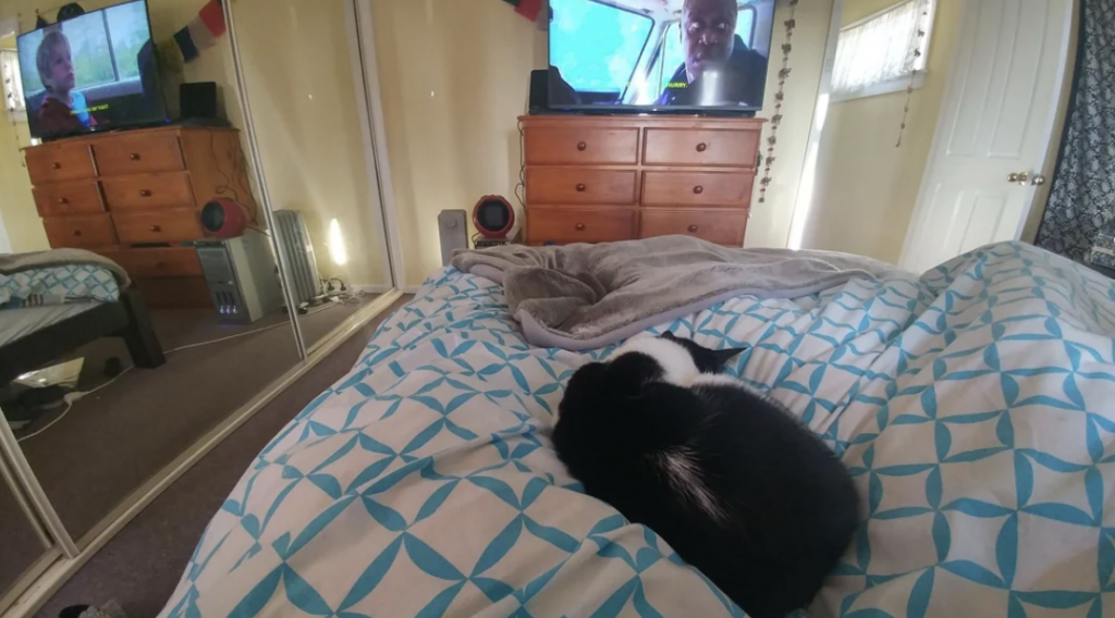 A black and white cat sleeps on a blue and white patterned bed. In the background, a TV on top of a wooden dresser shows an image of a man. A mirror reflects the room's interior, including a second view of the TV and dresser. The room is cozy and well-lit.