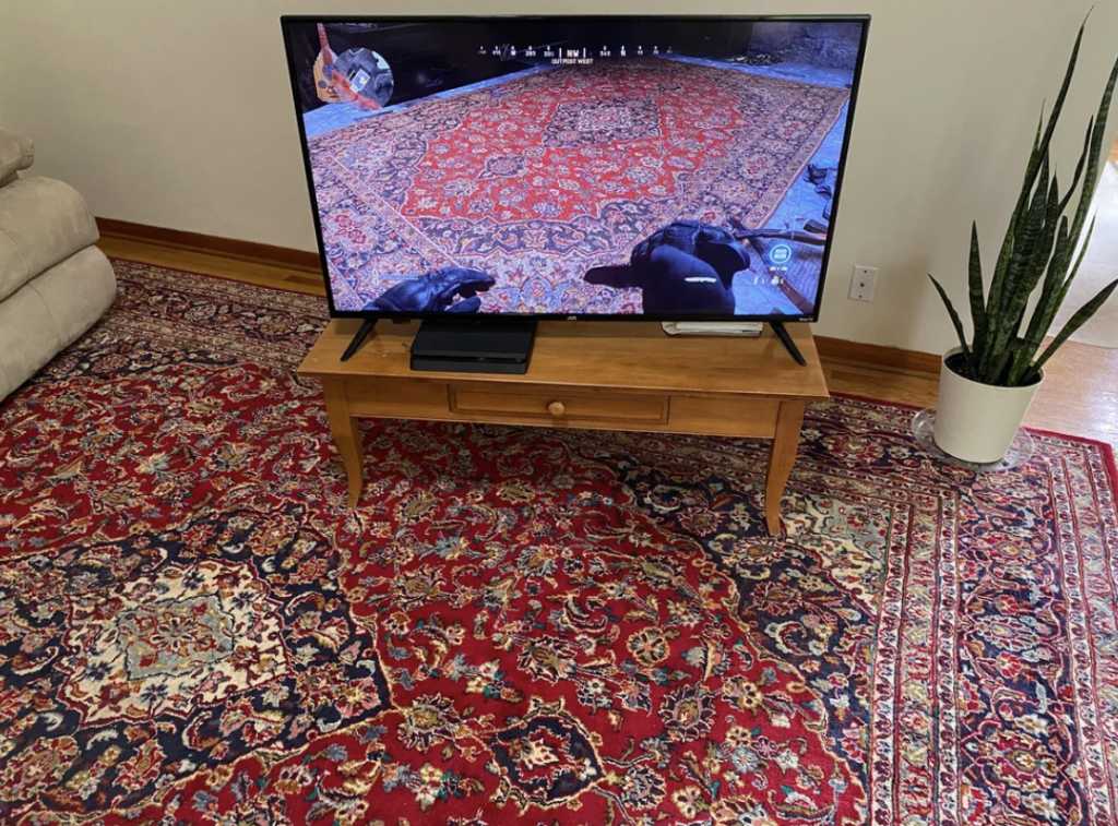 A television on a wooden stand displays a video game on a colorful patterned rug. The TV stand houses a gaming console and a remote. Another similar-patterned rug is on the floor, and a potted snake plant is placed close to the wall.