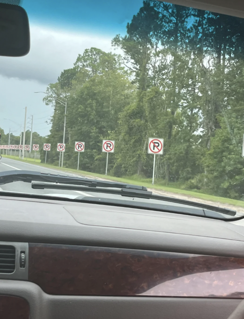 A view from inside a car shows multiple "No Parking" signs lined up along the roadside, with a tree line in the background. The dashboard and windshield of the car are visible in the foreground.