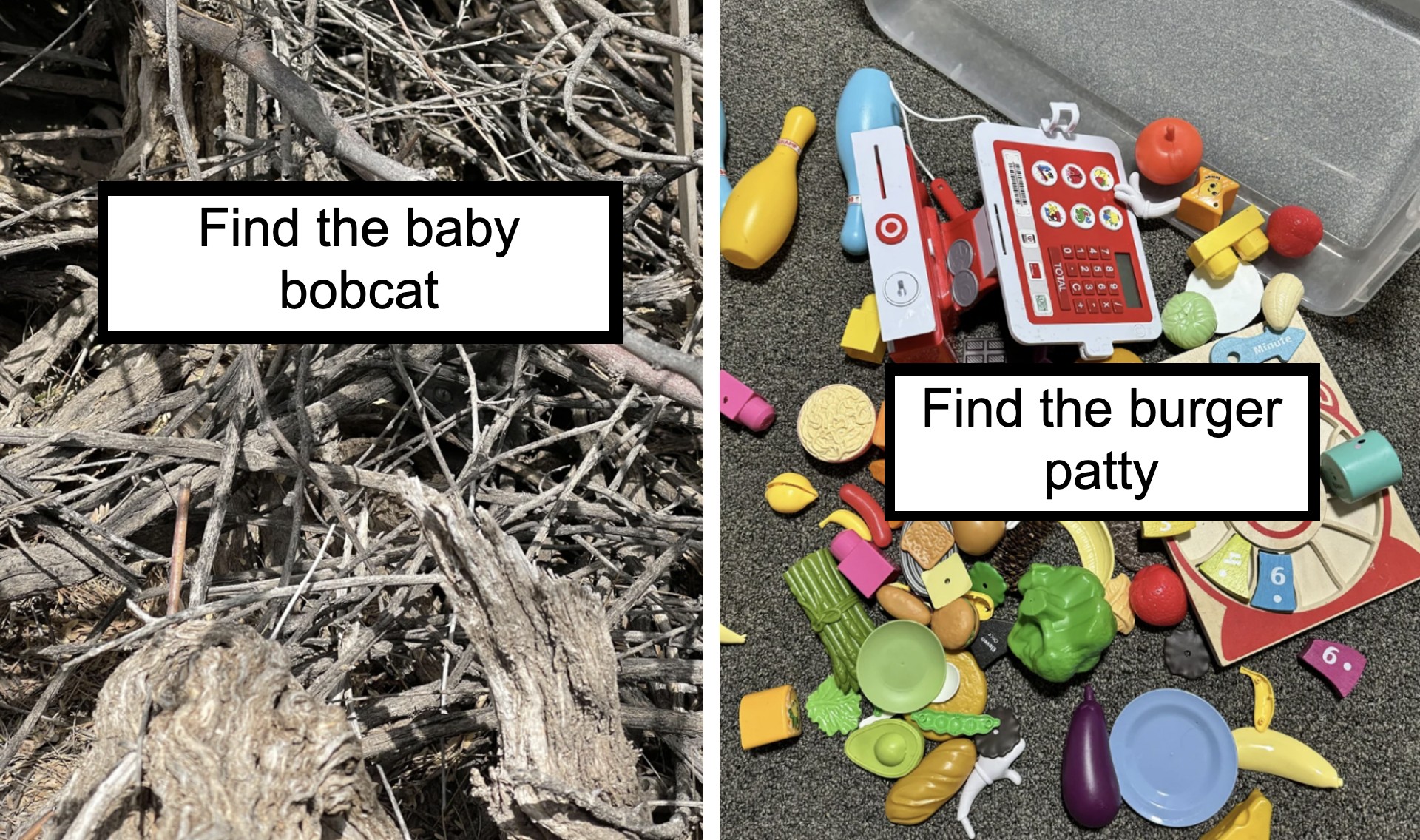 The image is split into two sections. The left side shows a pile of sticks and twigs with a hidden baby bobcat. A caption reads, "Find the baby bobcat." The right side shows various children's play food items scattered on a floor. A caption reads, "Find the burger patty.