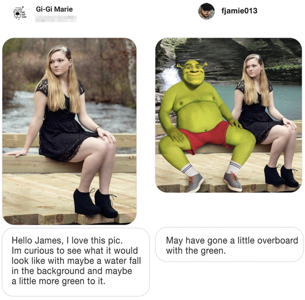 A side-by-side image features a young woman sitting on a wooden platform in professional attire. The image from the conversation shows the young woman transformed into Shrek sitting in the same pose. Text in the conversation humorously acknowledges the drastic color change.
