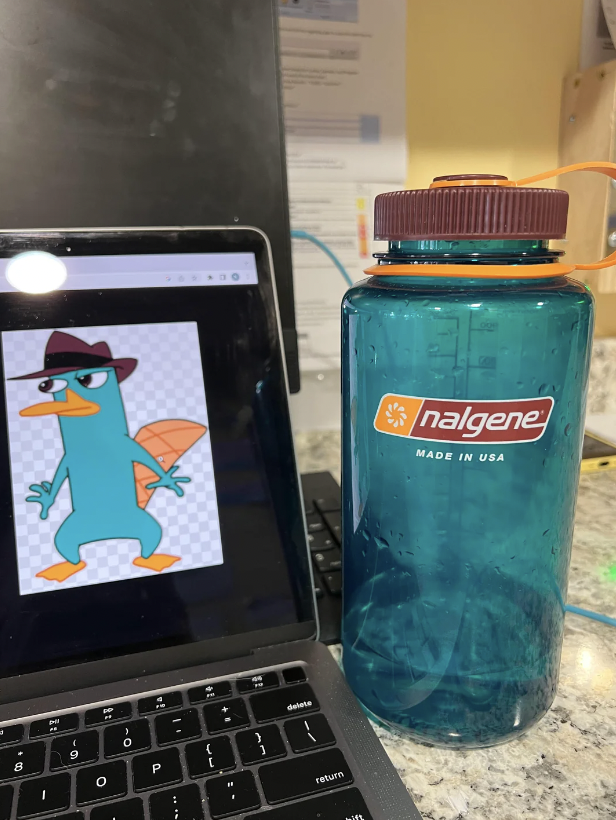 A large blue Nalgene water bottle with a red lid sits on a countertop next to an open laptop. The laptop screen displays a cartoon character—a blue platypus wearing a brown fedora and looking to the left. The countertop background includes papers and utensils.