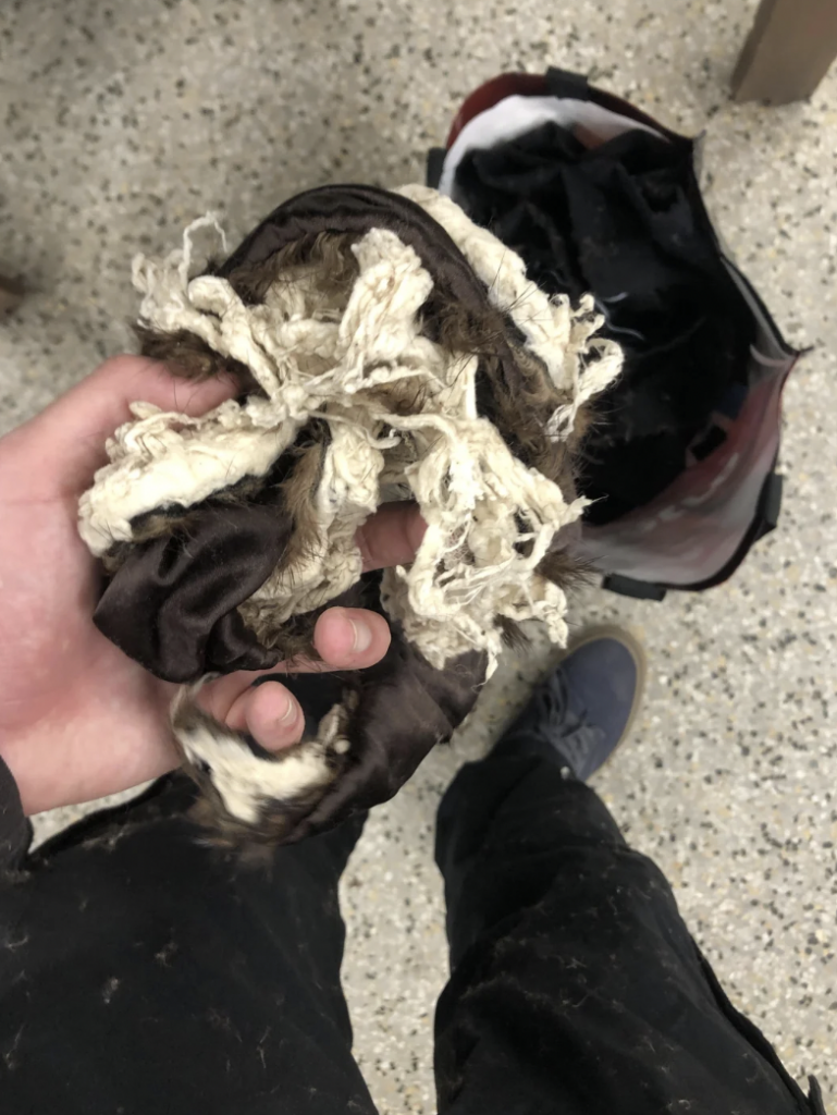 A person holds a worn, frayed, and partially destroyed fabric toy. In the background, a partially open bag filled with similar dark-colored items rests on a speckled floor. The person's shoes and dark pants are also visible.
