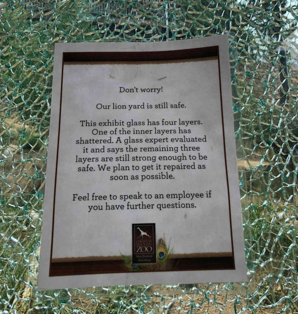 A sign posted against a shattered glass panel at a zoo reads: "Don't worry! Our lion yard is still safe. One of the four layers of this exhibit glass has shattered, but it's still safe. Repairs are planned. For questions, talk to a staff member.