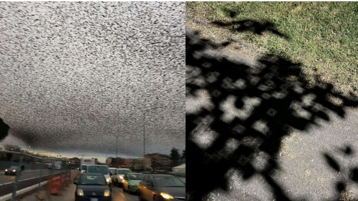 20 Glitch in the Matrix Pics That Prove Life Is A Simulation - The Scroller