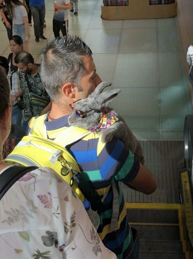 A person with short hair, wearing a blue and green striped shirt and a yellow backpack, stands on an escalator holding a large gray rabbit. The rabbit is wearing a colorful bandana. There are several other people visible in the background.