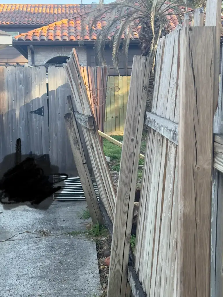 A leaning wooden fence in a backyard with some panels out of alignment. Behind the fence, there's a palm tree and a house with a red-tiled roof. The fence gate is open, and a black marking is visible on the left side of the image.