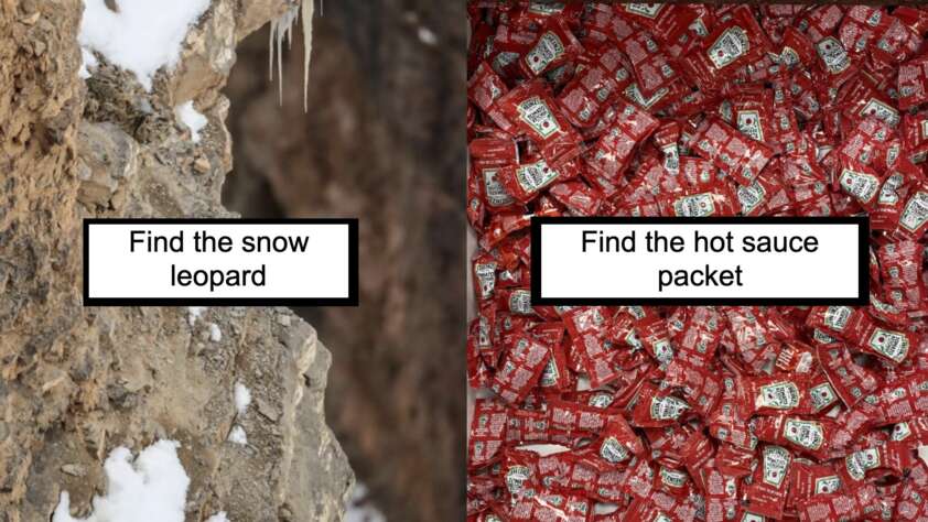 A split image with two challenges: The left side shows a rocky, snowy cliff with the text "Find the snow leopard," encouraging viewers to spot the well-camouflaged animal. The right side displays a pile of red hot sauce packets with the text "Find the hot sauce packet.