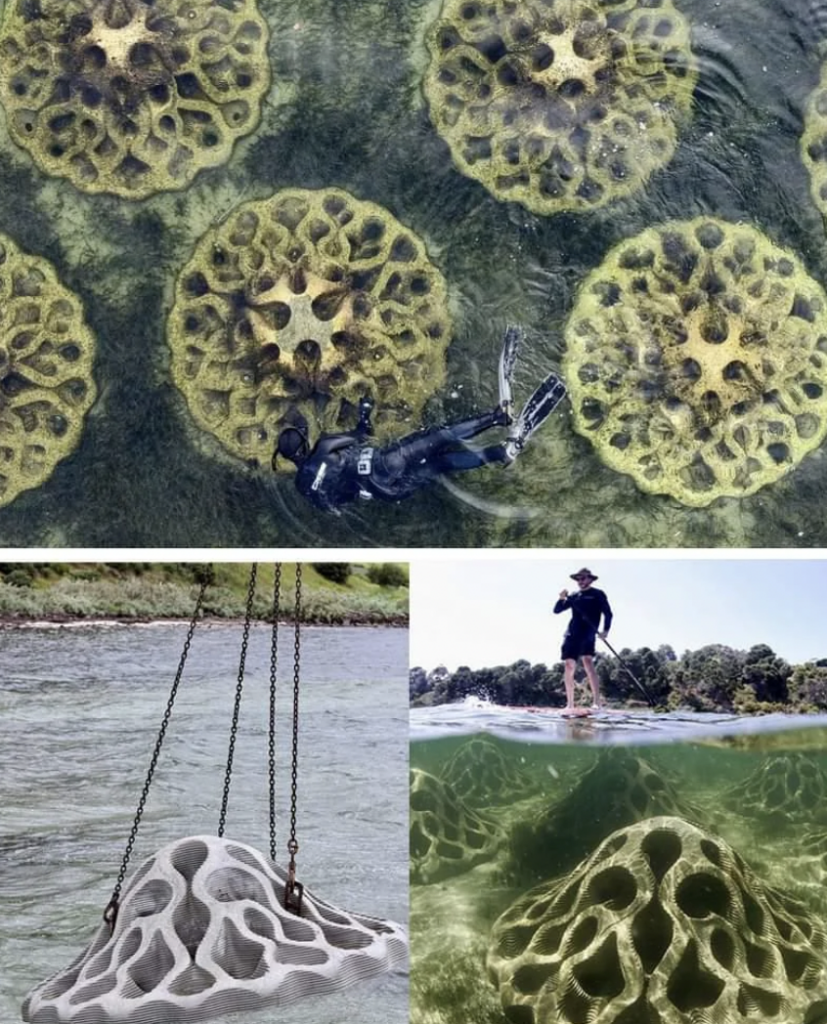 Three images: Top, an aerial view of a snorkeler swimming over spherical reef modules with intricate patterns. Bottom left, a crane lowers a reef module into the water. Bottom right, a person stands on a platform above a submerged module, visible just below the surface.