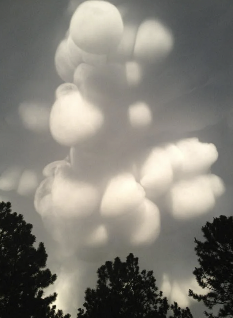 A cluster of unusual, bulbous clouds resembling giant, hanging tufts of cotton is captured in the sky. The clouds are illuminated from behind, creating a striking contrast. Tree silhouettes frame the bottom of the image.