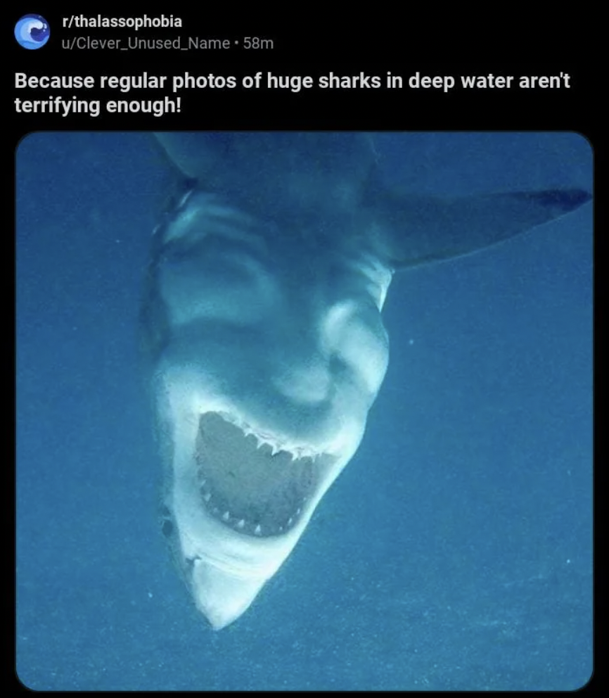A deep-sea photo of a shark showing it with its mouth wide open, displaying numerous sharp teeth, and viewed from below. The caption at the top reads: "Because regular photos of huge sharks in deep water aren't terrifying enough!