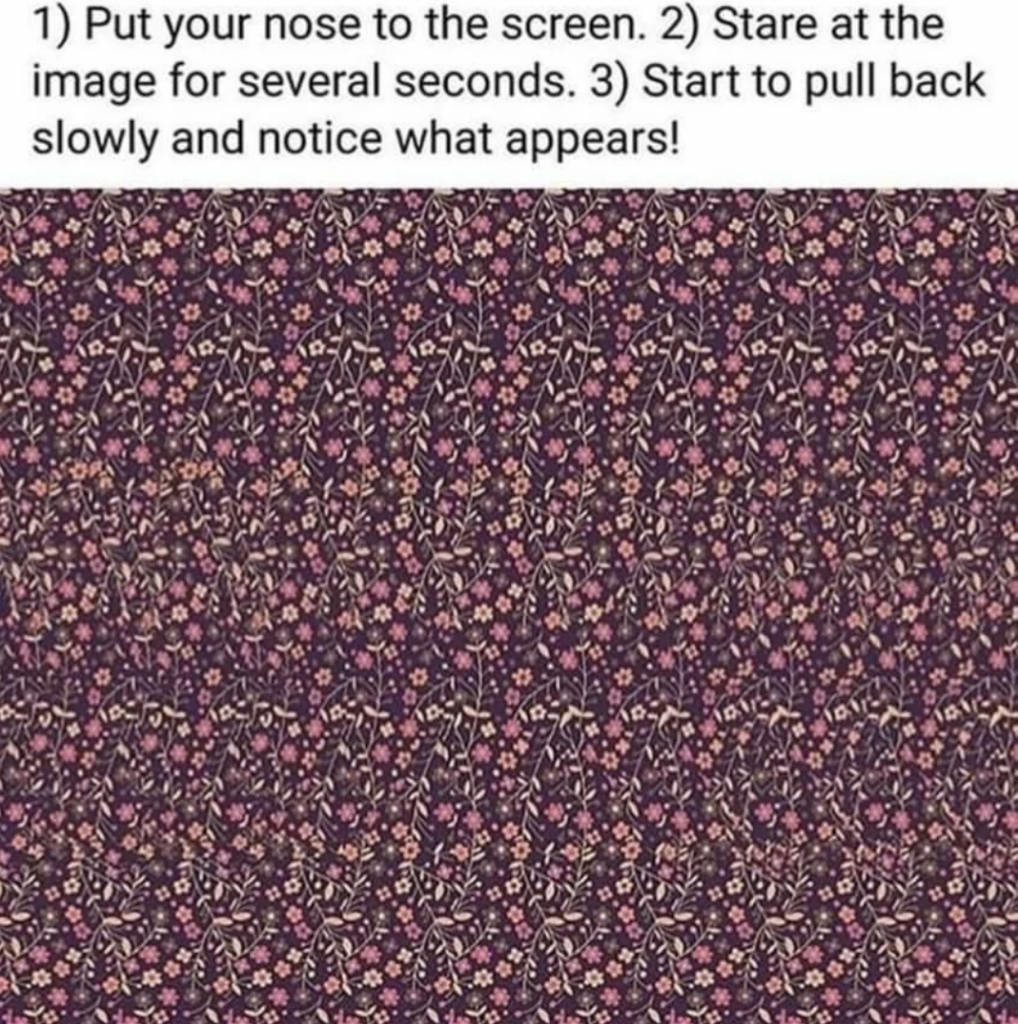 A detailed, patterned image with a mix of dark and light colors, mainly consisting of small floral designs. Instructions at the top read: "1) Put your nose to the screen. 2) Stare at the image for several seconds. 3) Start to pull back slowly and notice what appears!