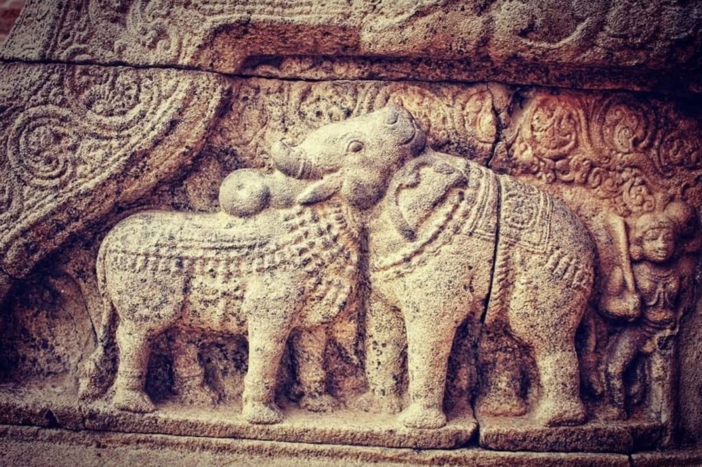 An intricately carved stone relief depicts two detailed elephants standing close together. The craftsmanship showcases ornate patterns and other smaller animals or figures carved around them, highlighting the artistry and cultural significance of the piece.