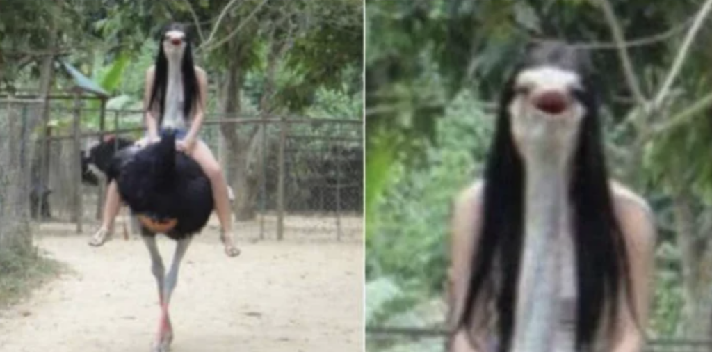 An edited image shows a person with long dark hair and an ostrich's head riding an ostrich. The left side of the image shows the full scene, while the right side provides a close-up of the person with the ostrich head. Trees and a fenced area are in the background.