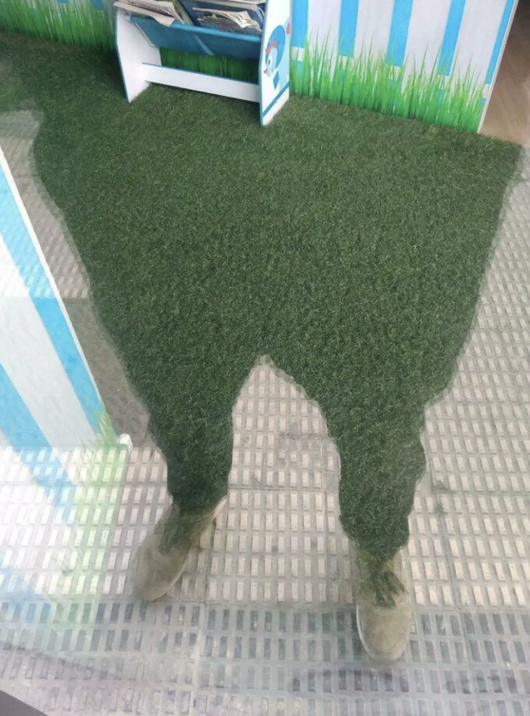 Reflection on a glass surface shows legs that appear to be made of grass, blending with the grassy ground beyond the glass. The intersection of the reflection and actual ground creates an optical illusion. Background features blue and white vertical stripes and a shelf.