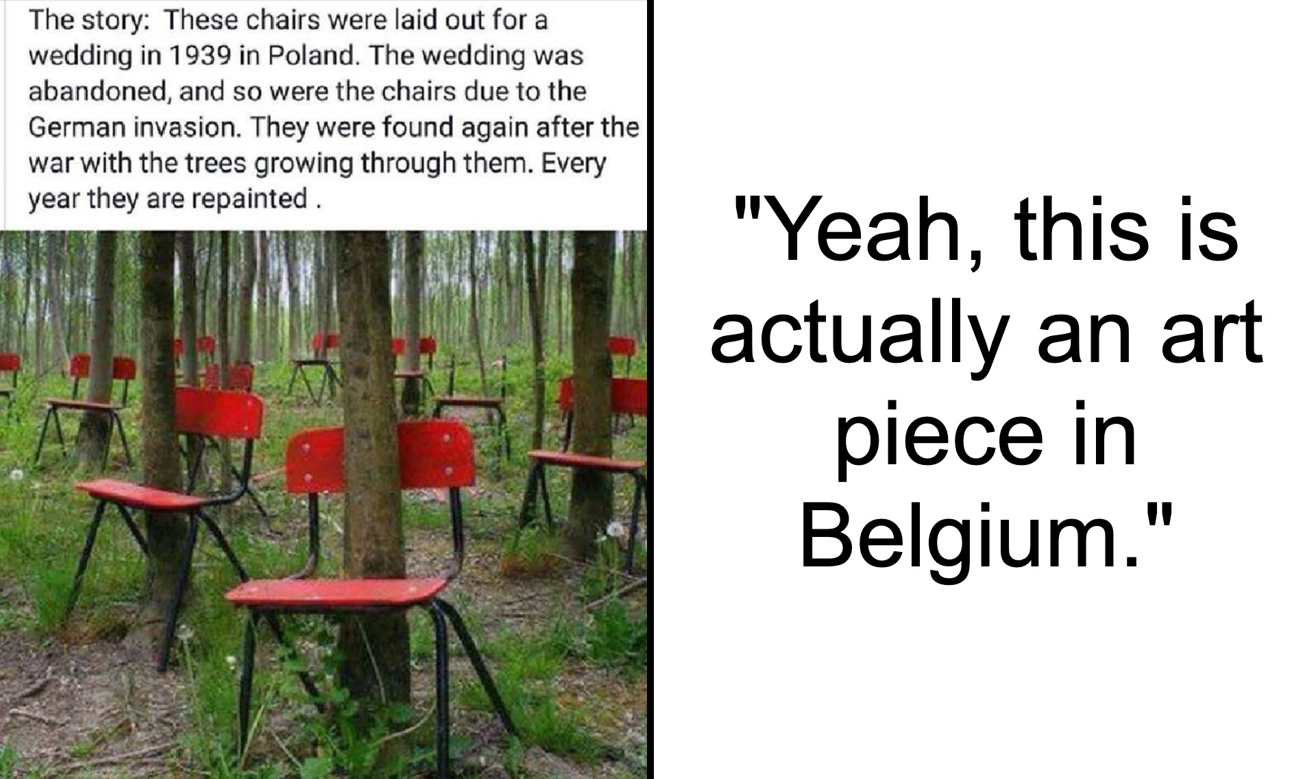A forest with numerous red chairs attached to trees, creating an eerie yet artistic scene. A caption on the left narrates the chairs' origin from a 1939 wedding in Poland, later moved and repainted annually. An overlay on the right reads, "Yeah, this is actually an art piece in Belgium.
