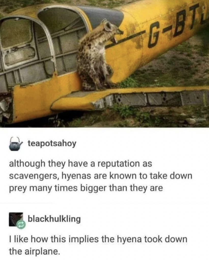 A hyena standing on the wing of an old, broken yellow airplane with the registration "G-BTUC". Below the image, two comments: one explaining that hyenas can take down large prey, and the other humorously suggesting that the hyena brought down the airplane.