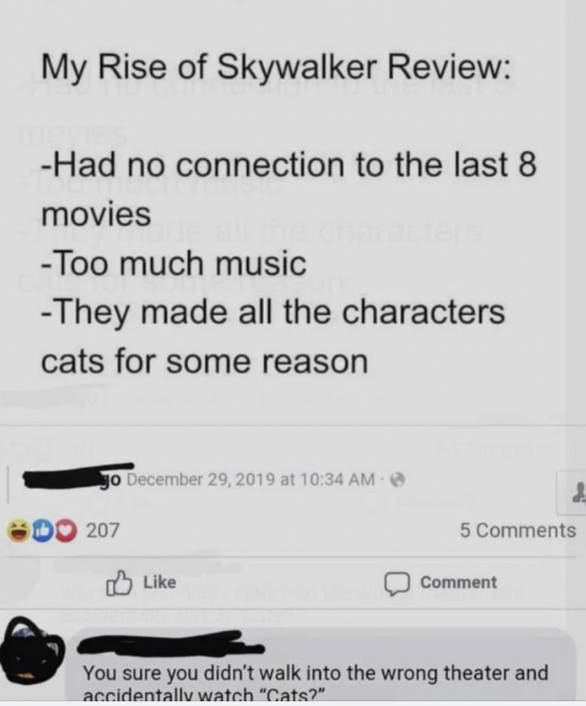 A Facebook post titled "My Rise of Skywalker Review" lists three points: had no connection to the last 8 movies, too much music, and they made all the characters cats for some reason. A comment below humorously suggests the reviewer watched "Cats" instead.