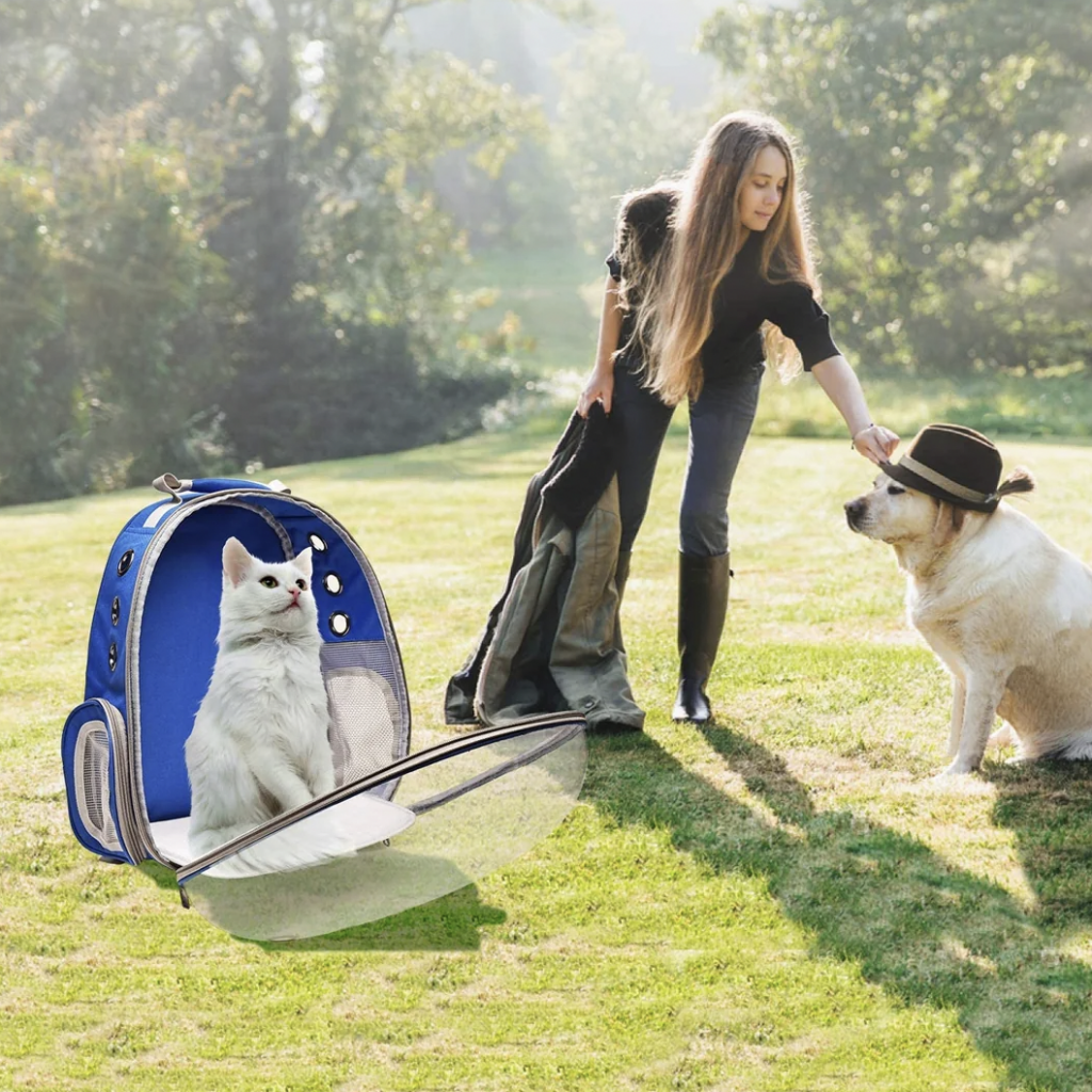 A woman in an outdoor setting pets a dog wearing a hat. A white cat is sitting nearby in an open, blue pet carrier with a transparent bubble front. The backdrop is a grassy area with trees and sunlight filtering through.