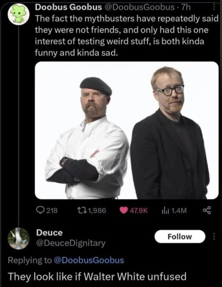 A tweet by Doobus Goobus says: "The fact the Mythbusters have repeatedly said they were not friends, and only had this one interest of testing weird stuff, is both kinda funny and kinda sad." Below is a photo of the Mythbusters, Jamie Hyneman and Adam Savage.