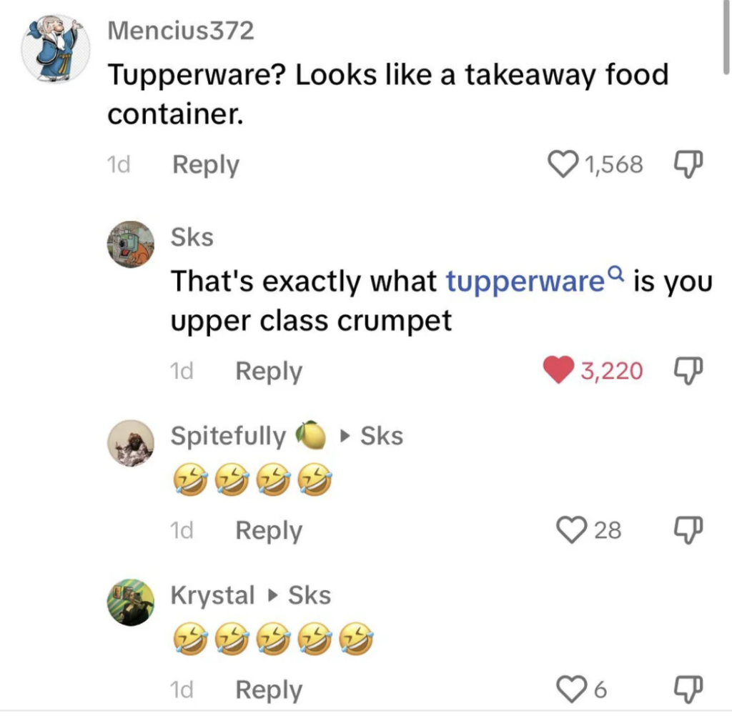 A screenshot of a TikTok comment section. Mencius372 comments, "Tupperware? Looks like a takeaway food container." Skc responds, "That's exactly what tupperware is you upper class crumpet." The response has 3,220 likes. Other replies include various laughing emojis.