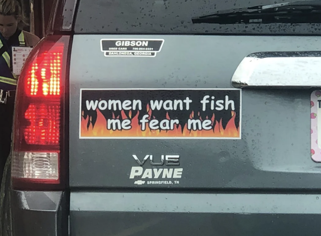 The rear of an SUV displaying a bumper sticker. The sticker features a black background with orange flames at the bottom and white text that reads, "women want fish me fear me." The vehicle has a "GIBSON" dealership sticker and a "VUE PAYNE" emblem.