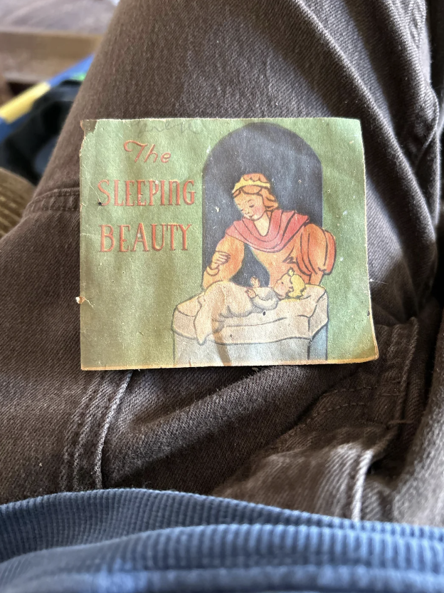 A person holds a small illustrated book titled "The Sleeping Beauty." The cover shows a person with a crown, dressed in red, standing over a sleeping figure. The cover has a green background and slightly worn edges. The book rests on the person's lap.