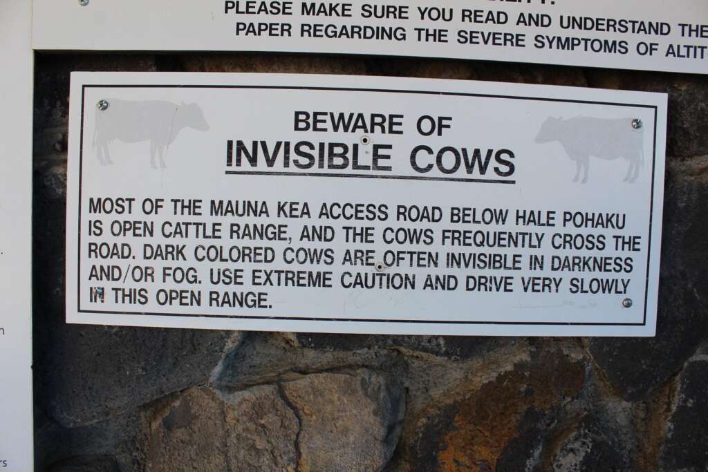 A sign mounted on a stone wall reads: "BEWARE OF INVISIBLE COWS. Most of the Mauna Kea Access Road below Hale Pohaku is open cattle range, and the cows frequently cross the road. Dark colored cows are often invisible in darkness and/or fog. Use extreme caution and drive very slowly in this open range." The sign includes cow silhouettes in the upper corners.