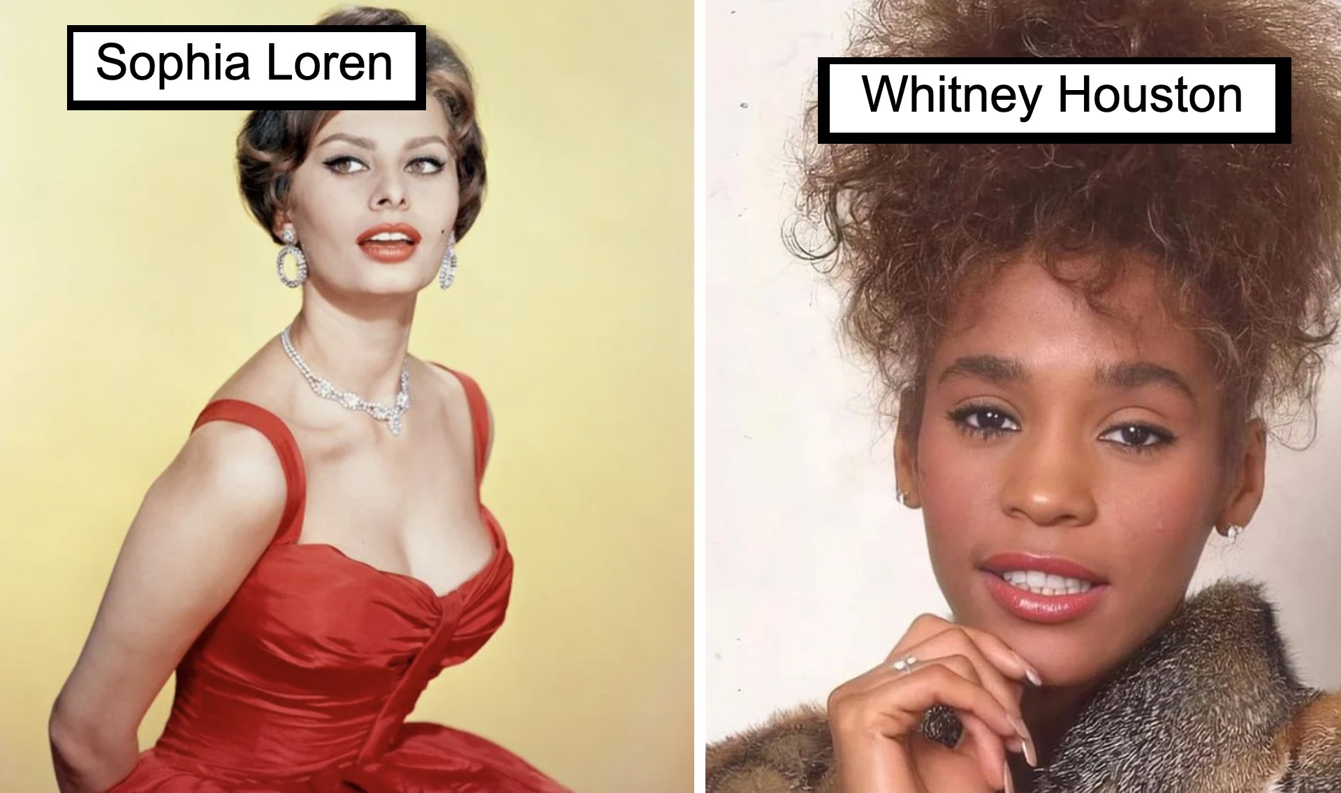 On the left, a woman in a red dress with diamond jewelry is labeled "Sophia Loren." On the right, a woman with curly hair in a fur-like coat is labeled "Whitney Houston." Both women are looking towards the camera.