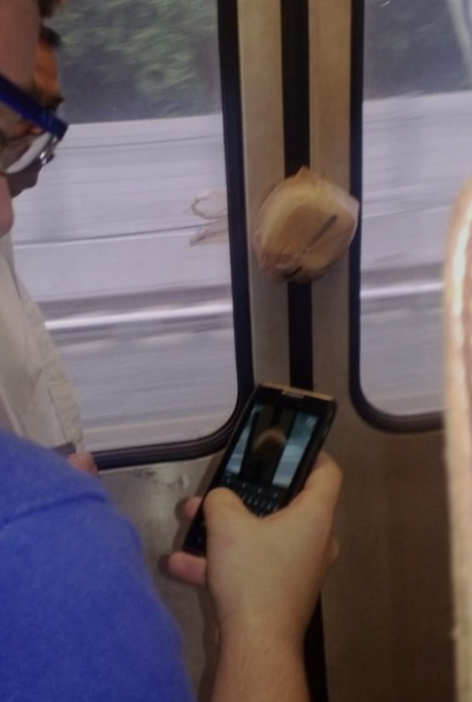 A person in a blue shirt is using a Blackberry phone to take a photo of a coconut that is wedged in the gap between two glass panels of a train or bus door. Another person in a white shirt is partially visible next to them.