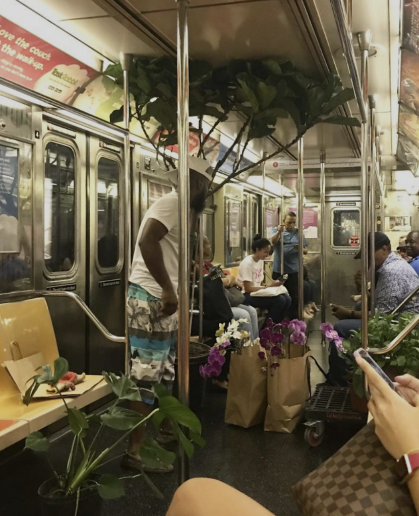 A subway car with several passengers seated. A man stands holding a large potted plant. There are multiple other potted plants and bags on the floor surrounding him. Other passengers are using their phones and sitting quietly. The subway walls are lined with advertisements.