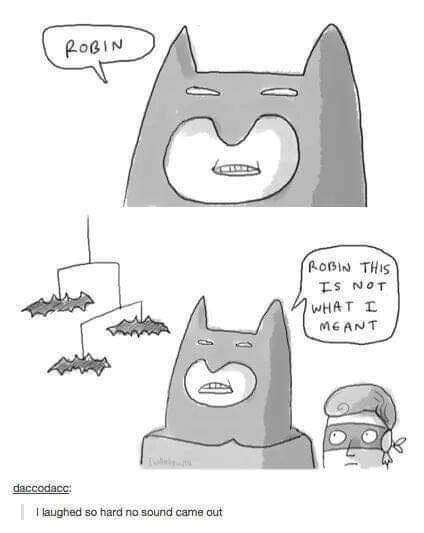 A comic shows Batman saying "Robin" in the first panel. In the second panel, Batman looks bewildered while Robin stands beside him. Text says "Robin, this is not what I meant." A mobile with hanging toy bats is in front of Batman. A comment below reads, "I laughed so hard no sound came out.