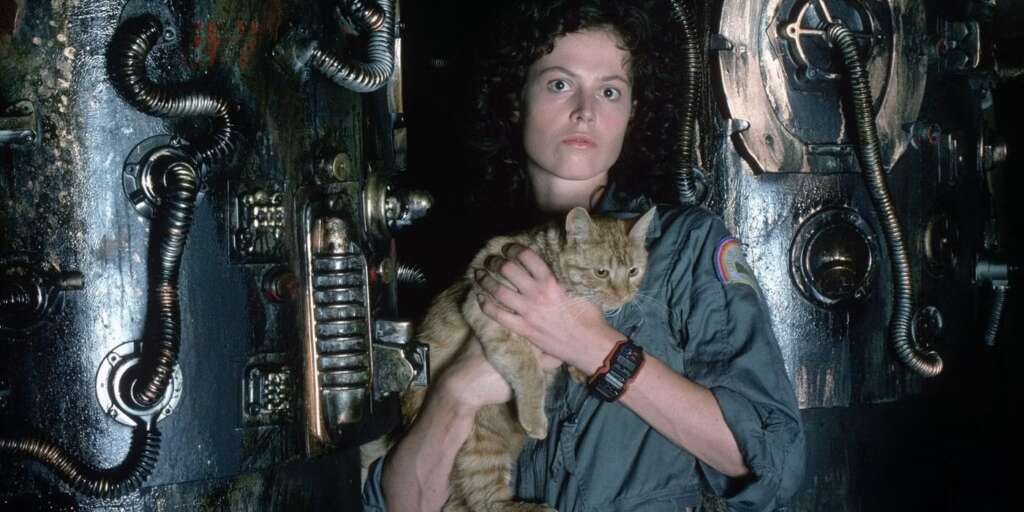 A person with curly hair, dressed in a gray jumpsuit, holds an orange tabby cat close to their chest. They stand in a dark industrial setting, surrounded by metal pipes, machinery, and panels. The person has an intent expression and a wristwatch is visible.