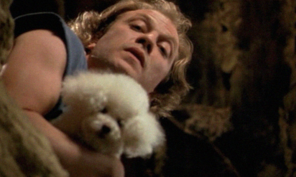 A person with light-colored hair looks downward while holding a small, fluffy white dog. The scene is dimly lit, with shadows cast on both the person and the dog. The person's expression is serious or focused.