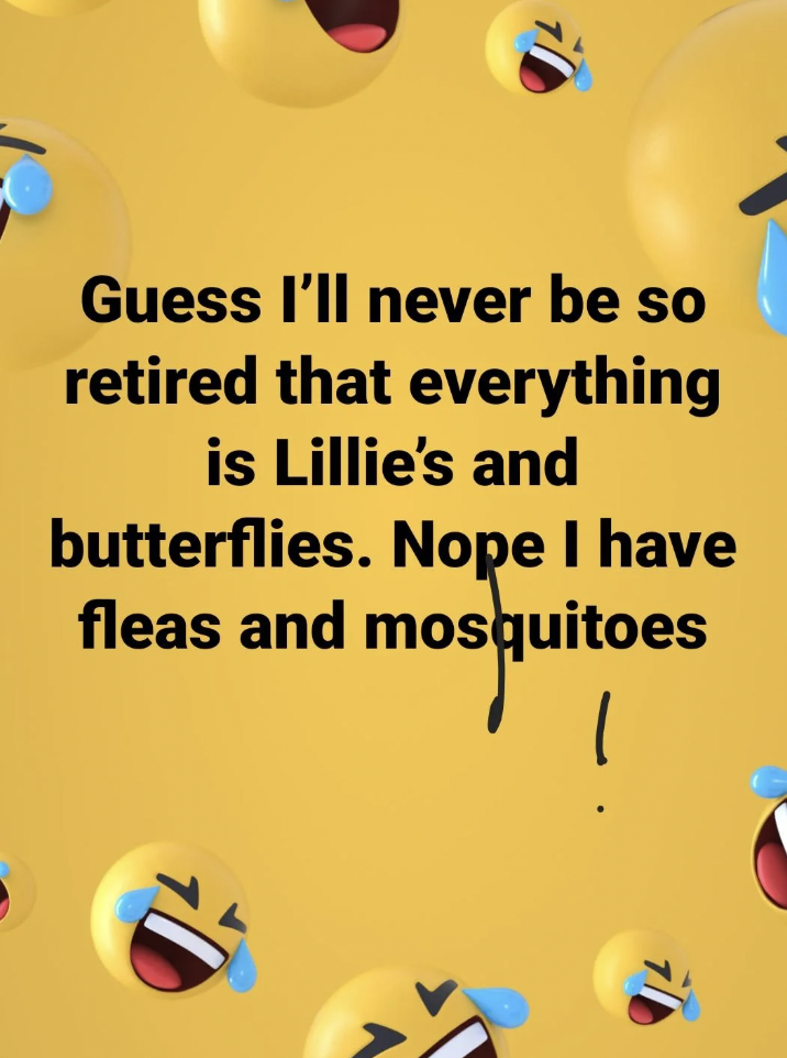 A yellow background image with multiple laughing-crying emoji. The overlaid text reads: "Guess I’ll never be so retired that everything is Lillie’s and butterflies. Nope I have fleas and mosquitoes.