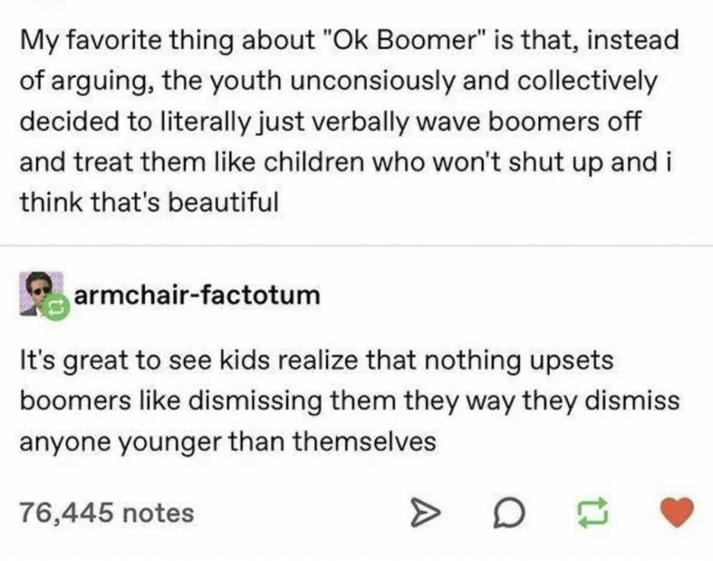 A screenshot of a Tumblr post is shown. The original post expresses admiration for the phrase "Ok Boomer," noting how the youth use it to dismiss boomers. A user, armchair-factotum, comments that it's great kids realize how dismissing boomers annoys them. The post has 76,445 notes.