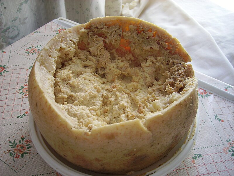 A wheel of Casu Marzu cheese is shown with its top partially cut open, revealing a soft, crumbly, and creamy interior. The cheese is placed on a white ceramic dish on a table with a patterned tablecloth. A light background curtain is visible.