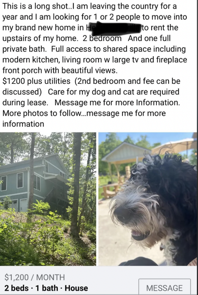 A rental advertisement featuring a two-story house with a green exterior, a porch, and large windows. The ad describes a $1200/month rent for a 2-bed, 1-bath house, seeking roommates to care for pets. A close-up of a black and white dog is also visible.